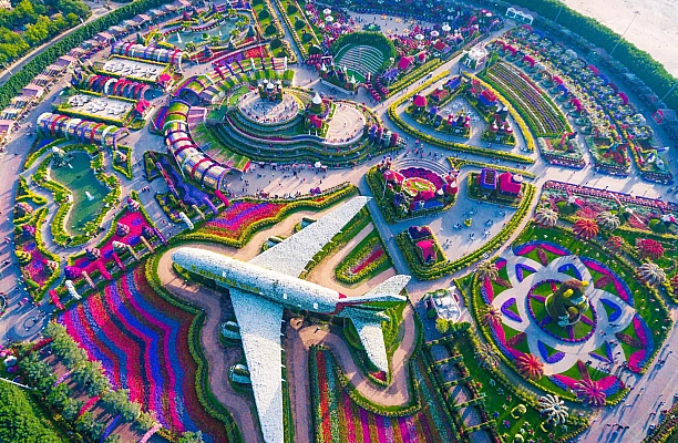 Dubai Miracle Garden: A Blossoming Wonderland in the Desert