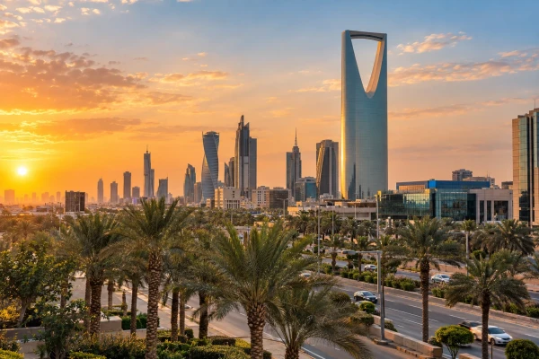 Saudi Multiple-Entry Visa Assistance from Dubai